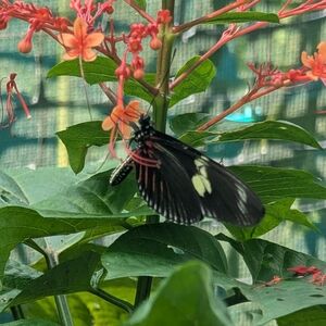 Items From My Closet That I No Longer Use But Can Go To A New Home.